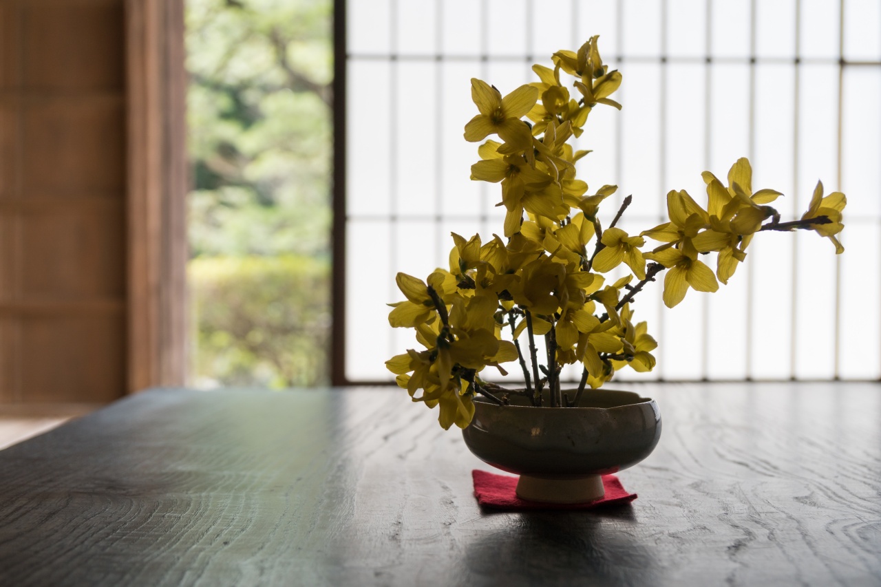 「わかる＋片づく　→　続く」カリキュラム