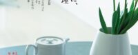 天然生活 2026年 06月号「幸せをつくる実家じまい」掲載